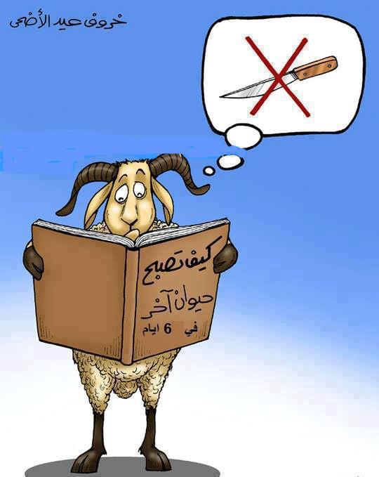 اضغط على الصورة لرؤيتها بالحجم الطبيعي