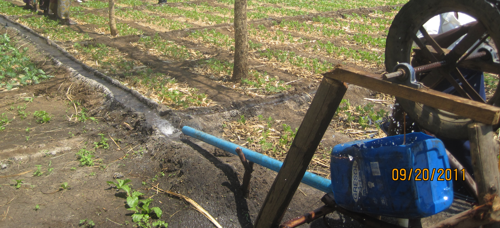 Africa Windmill Project AWP Manual/Pedal Water Pump