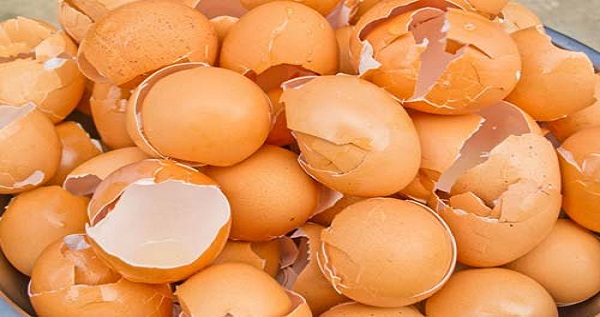 Tak Disangka, Kulit Telur Ternyata Bisa Dimakan dan Manfaatnya Menakjubkan