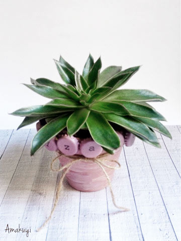 Macetas diy para decorar con plantas