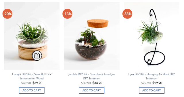 how to make your own terrarium singapore couple activity how to make your own terrarium singapore couple activity