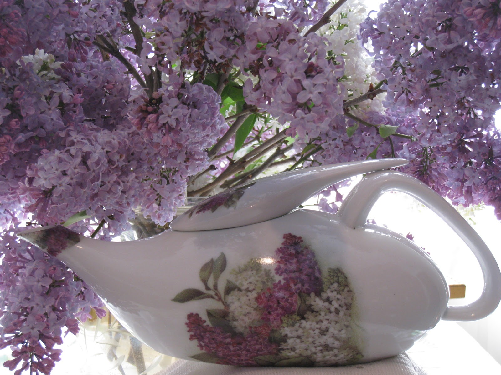 "THE GRAND LADY": "LILAC TIME