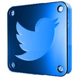 twitter logo design