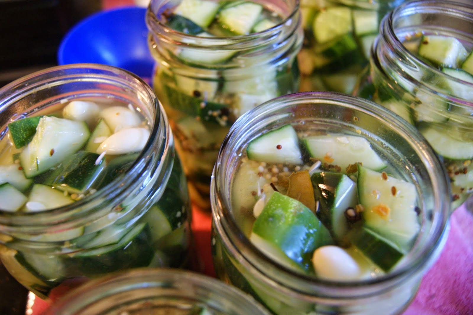 Canarella Dill Pickle Chunks with Garlic