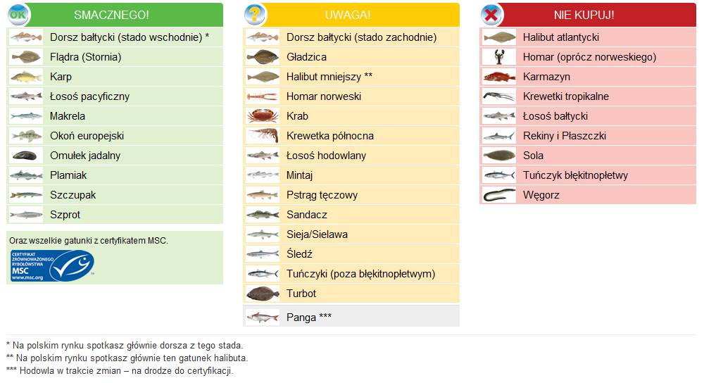 Ryby po angielsku rodzaje