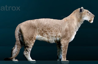 Panthera leo atrox , león cavernario