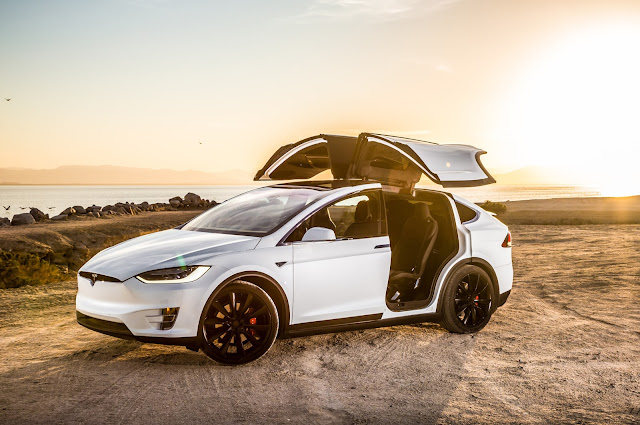 Tesla Model X Tesla Model X Five Star Pocket for Security Standards