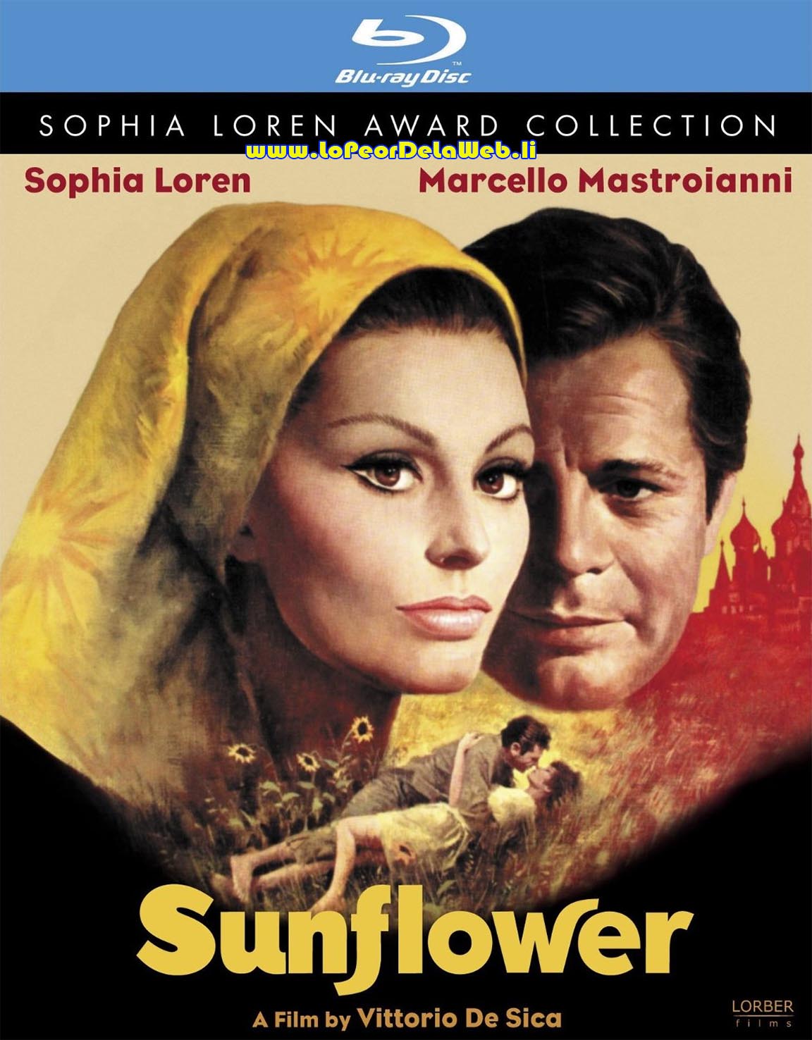 Los Girasoles de Rusia (1970 / Sophia Loren/M. Mastroianni)