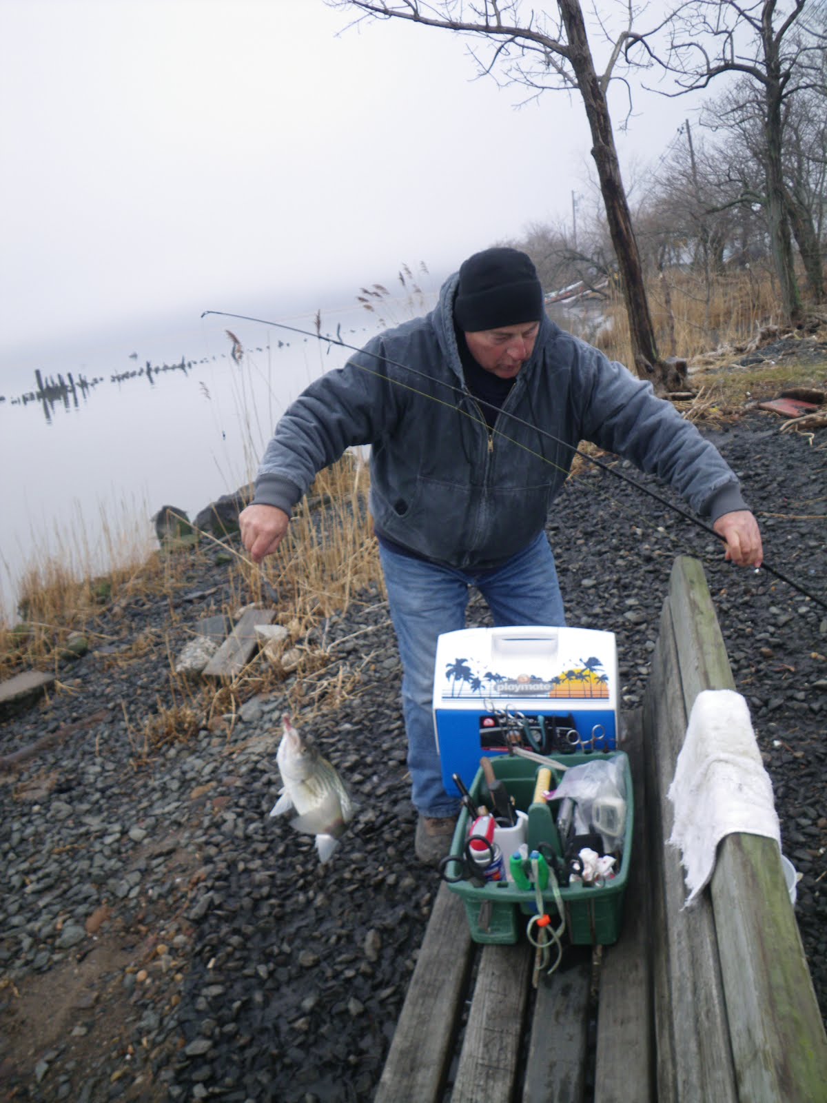 Frogma Fish on Friday The Fish Guru of Piermont Pier