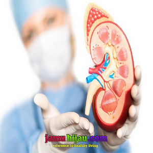 cara mengobati kencing batu, batu ginjal, life insurance cara mengobati kencing batu, batu ginjal, life insurance