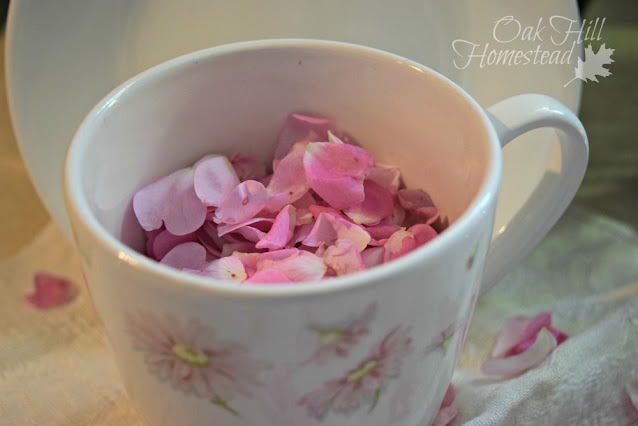 A white and pink floral teacup full of delicate pink rose petals.