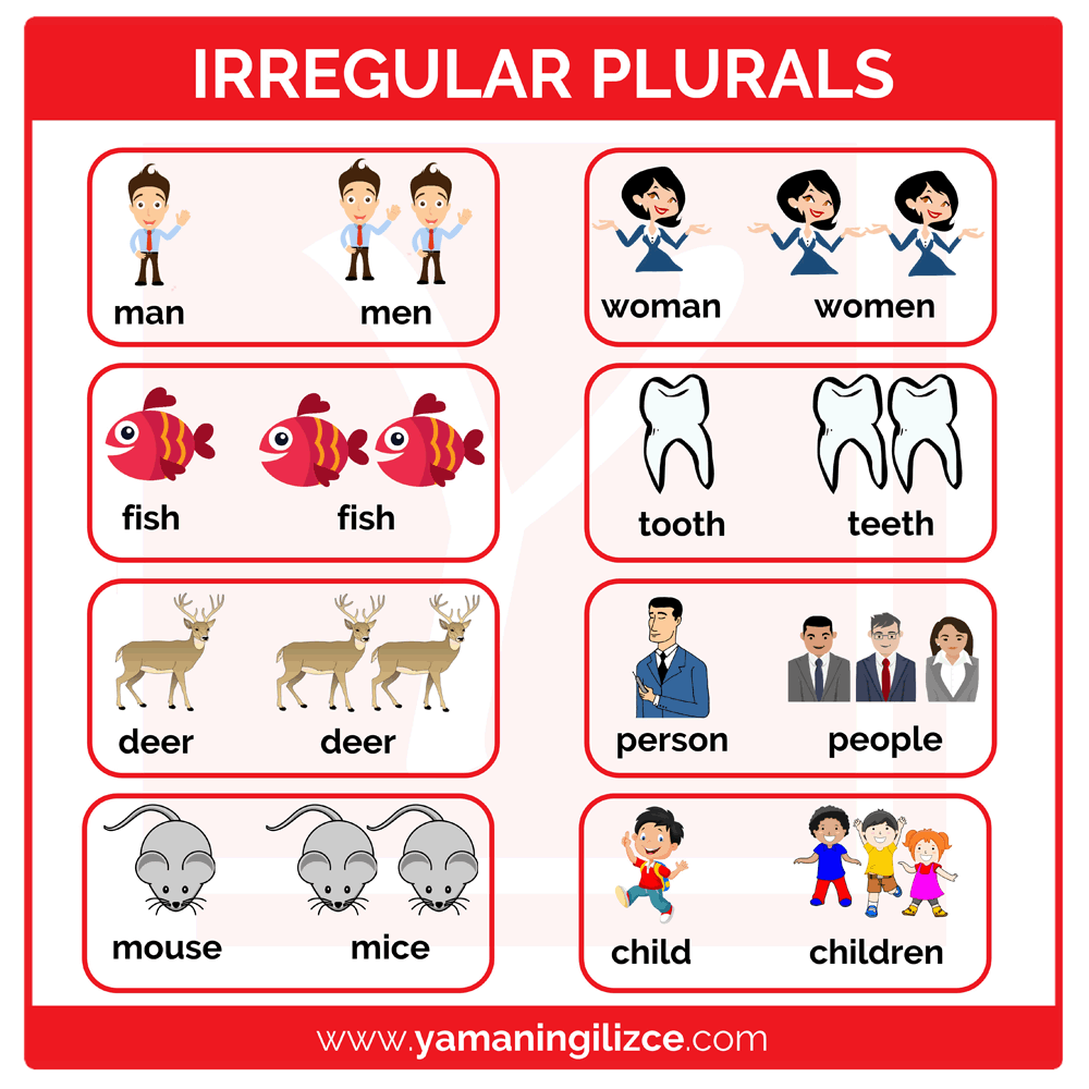 singular and plural nouns basic english Being able to find the right subject and verb will help you correct errors of subject-verb agreement basic rule a singular singular and plural since old english. singular and plural nouns basic english Being able to find the right subject and verb will help you correct errors of subject-verb agreement basic rule a singular singular and plural since old english.