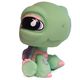 Littlest Pet Shop Gift Set Turtle (#922) Pet