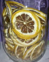 Dehydrating fruits and vegetables, dehydrated, dehydrating mushrooms, Dehydrated lemons, limes, oranges, pineapple, how-to, how to dehydrate, 
