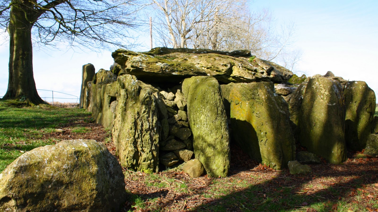 Historic Sites of Ireland Labbacallee Wedge Tomb