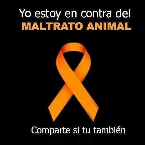 No al maltrato animal