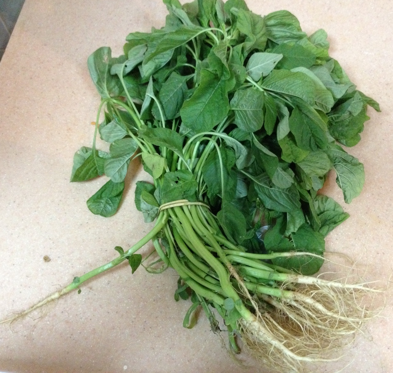 Jayashree's Recipes KEERAI KOOTU