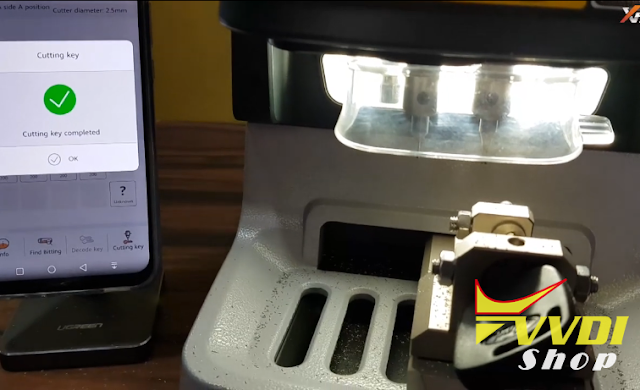 condor-dolphin--ford-tibbe-key-20