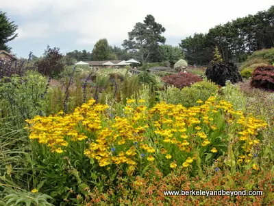 Mendocino Coast Botanical Gardens in Fort Bragg, California