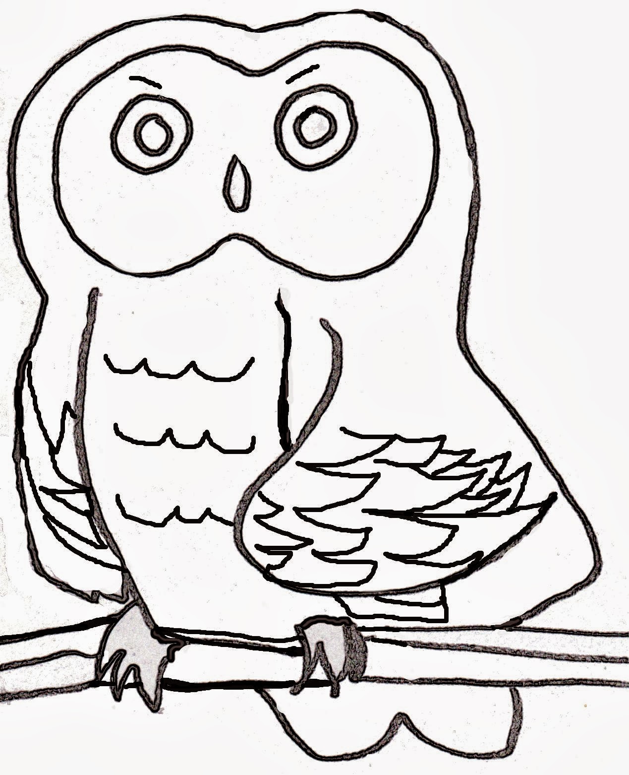 Christian Images In My Treasure Box: Home Drawn Art - Owls