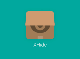 Infinix X-hide