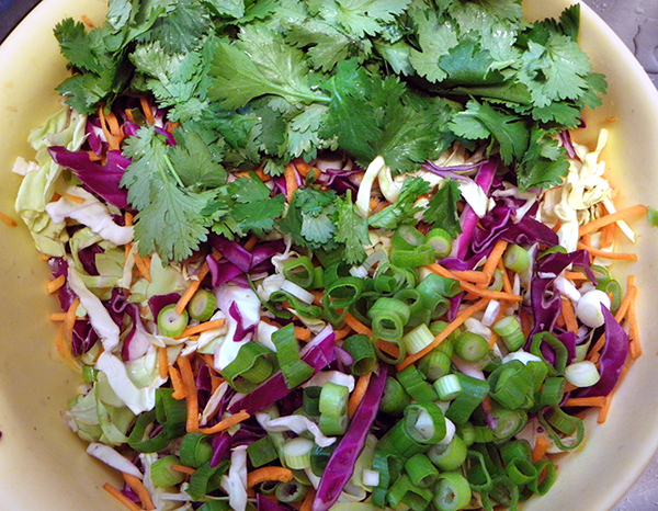 Shredded cabbages, carrots, green onions and cilantro