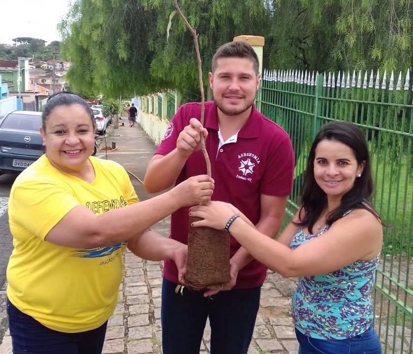 Projeto planta 42 mudas de árvores nativas em Espírito Santo do Pinhal Projeto planta 42 mudas de árvores nativas em Espírito Santo do Pinhal