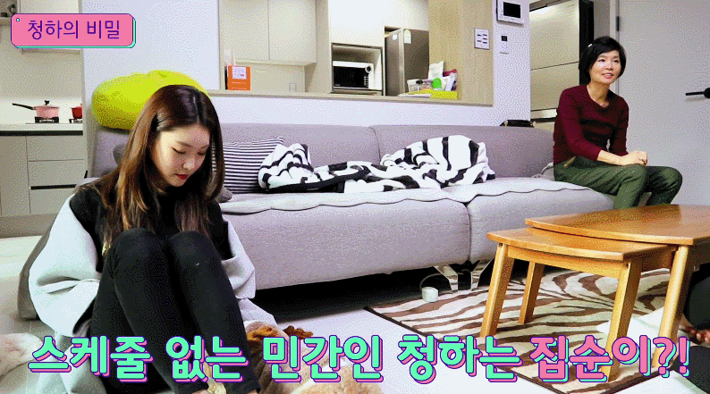 집순이 김청하의 하루 | 인스티즈