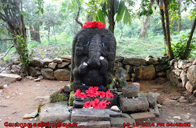 Pinnappara - Papanasini Kerala