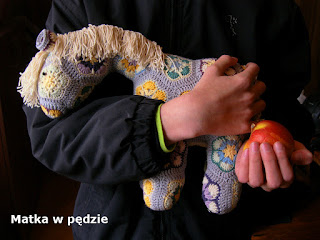 african flower horse african flower horse