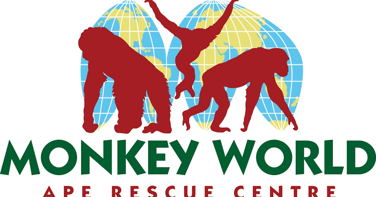 Zoo Jobs Primate Care Staff x 3