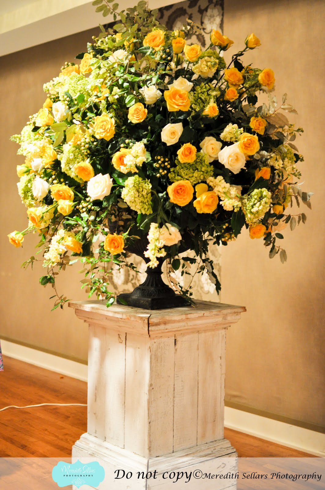 Meredith Sellars Photography: Matt & Danna Stringfellow