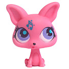 Littlest Pet Shop Blind Bags Chihuahua (#2867) Pet