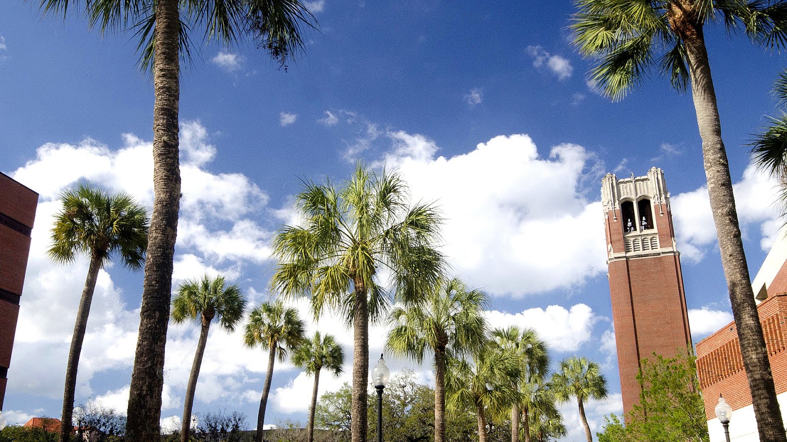 University Of Florida Admission University Choices
