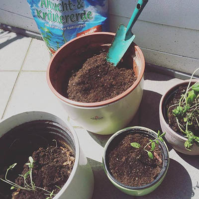 Space-Saving Ways to Grow an Herb Garden