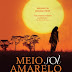 Dom Quixote | "Meio Sol Amarelo" de Chimamanda Ngozi Adichie 