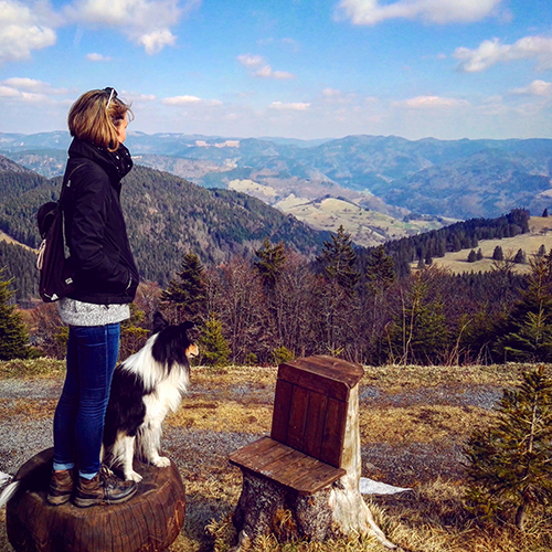 Wanderung am Belchen im Schwarzwald Schwarzwaldpanorama