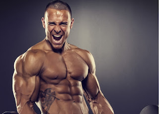 Build Muscles build muscles