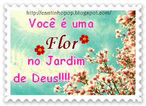 flores-do-ceu_4562_1024x768.gif