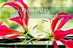 Projekt: Friday Flowerday