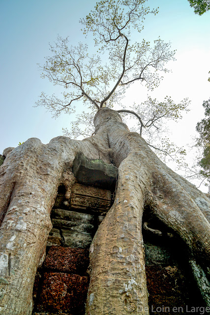 Preah Khan - Angkor - Cambodge