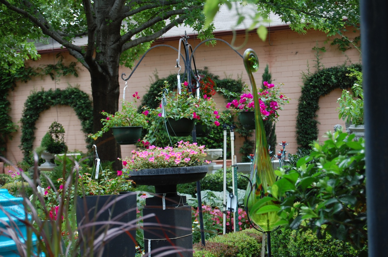 Jeannie's Fairy Rose Louisiana Garden Breedlove Nursery in Tyler, Texas