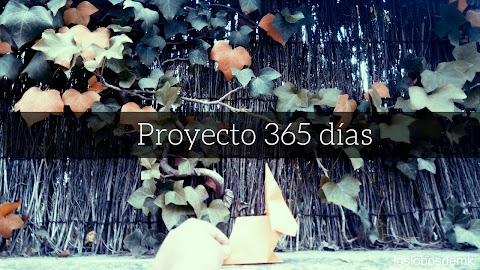 proyecto 365: primeros días