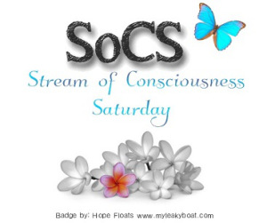 http://lindaghill.com/2016/01/29/the-friday-reminder-and-prompt-for-socs-jan-3016/