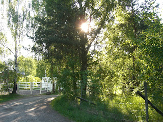 Solig%2Bmorgonpromenad%2B%25282%2529 - Morgonträning för axlar och ben