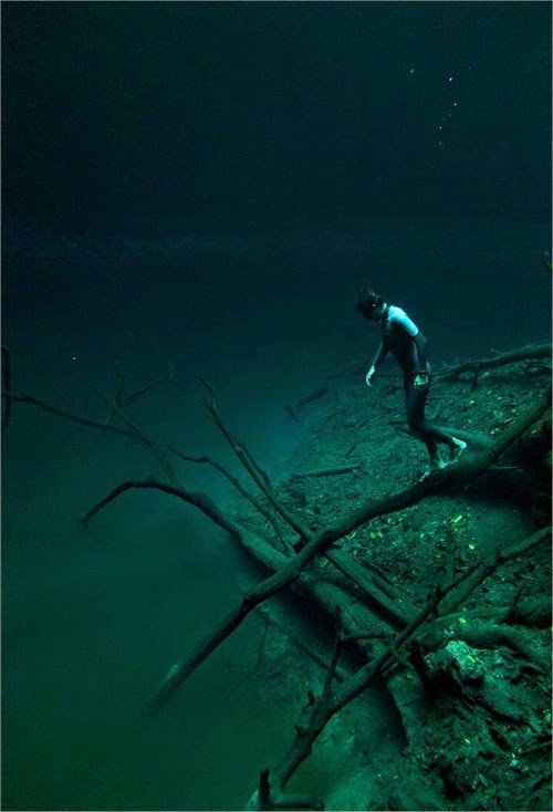 Cenote Angelita Mystical Underwater Mexico Cenote Angelita Mystical Underwater Mexico