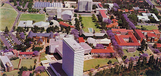 Team Building Pretoria Team Building Pretoria