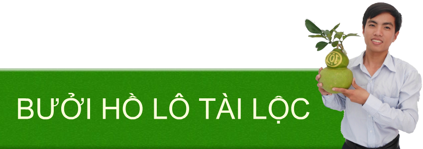 BƯỞI HỒ LÔ TÀI LỘC LÀM QUÀ TẾT ĐỘC ĐÁO BUOI-HO-LO-TAI-LOC-LAM-QUA-TET-DOC-DAO-Y-NGHIA