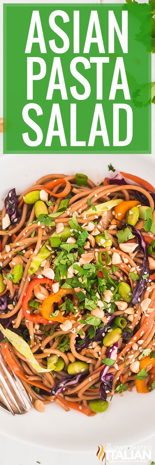 Asian Pasta Salad