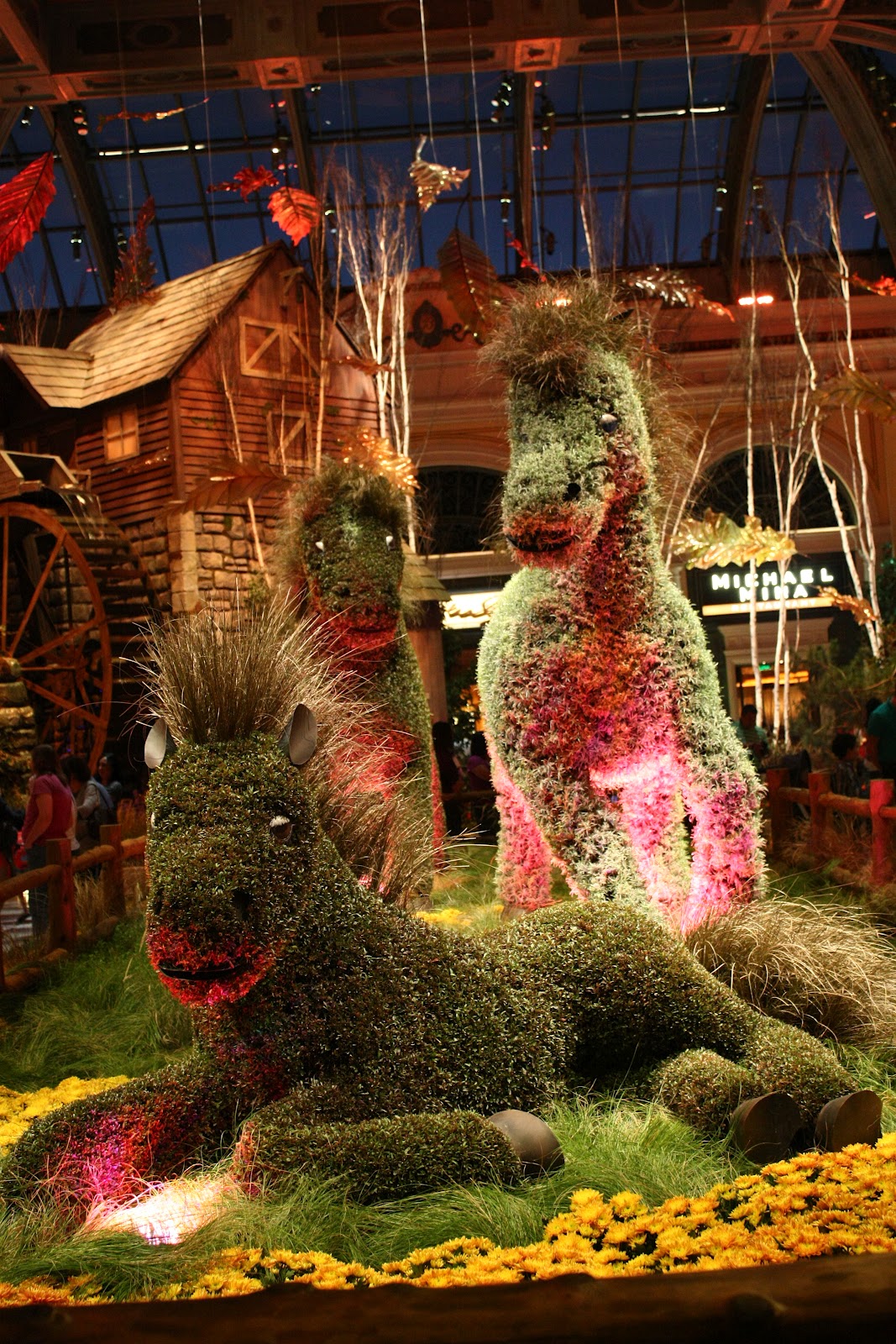 El próximo destino...: Día 6. Las Vegas. 16 Octubre 2011.